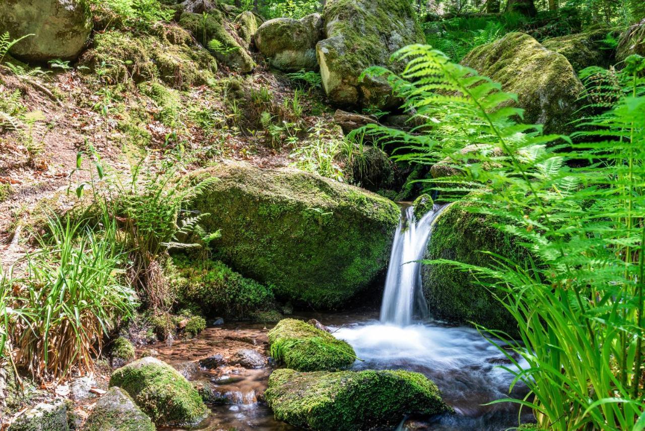 Merzel'S Schone Aussicht Bühlertal Εξωτερικό φωτογραφία