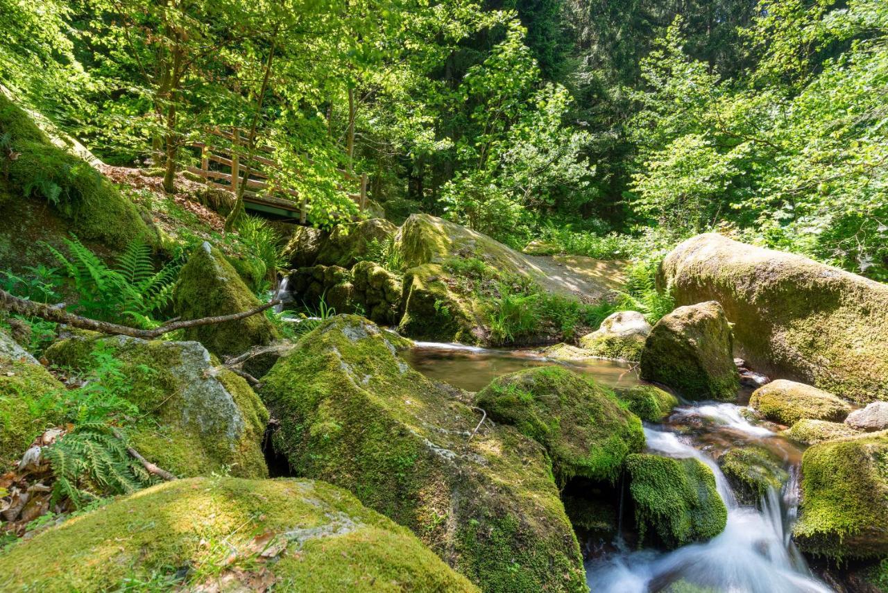 Merzel'S Schone Aussicht Bühlertal Εξωτερικό φωτογραφία